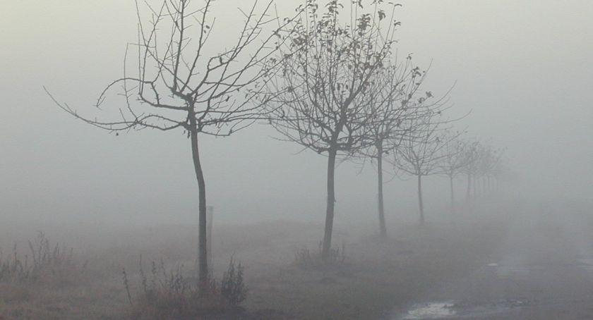 Ostrzeżenie meteorologiczne: mgła
