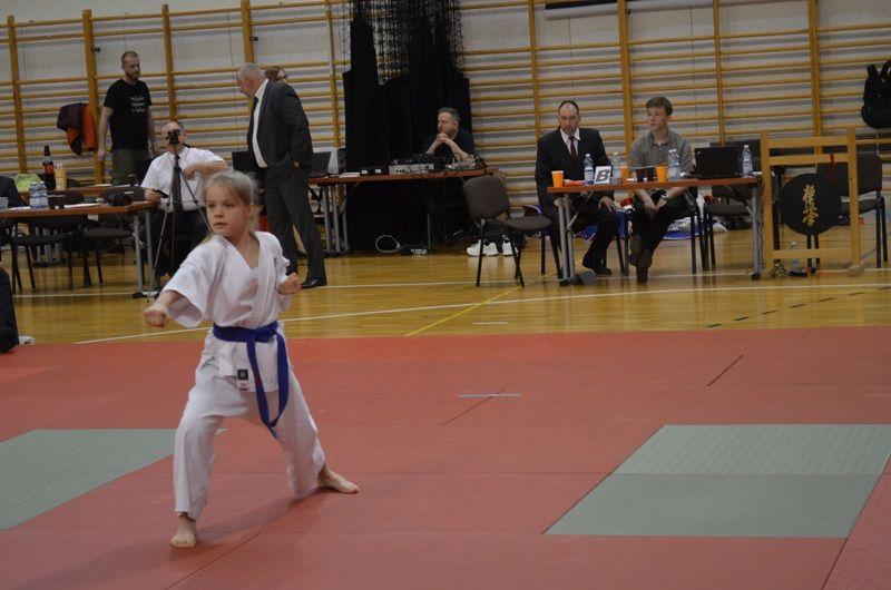 Zdj. nr. 1. VII Otwarty Turniej Karate Kyokushin o Puchar Solny
