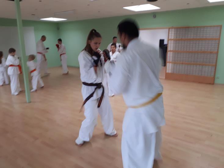 Zdj. nr. 4. Seminarium szkoleniowe Karate w Niemczech