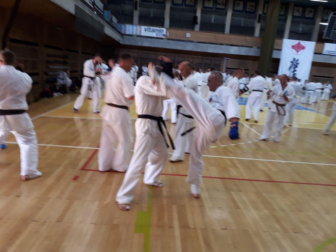 Zdj. nr. 2. Karate obóz 2018