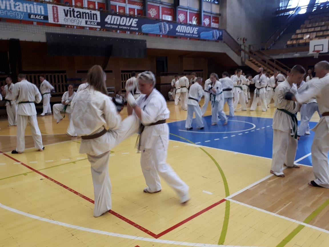 Zdj. nr. 4. Karate obóz 2018