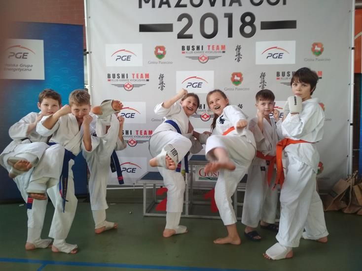 Wywalczyli medale na turnieju karate
