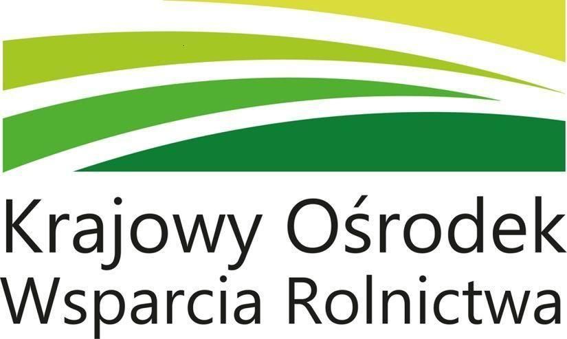 XIX Edycja Programu Stypendiów Pomostowych