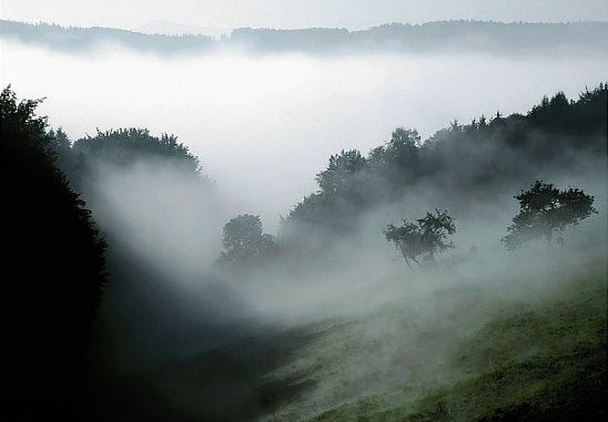 (Aktualizacja 27.02.2025 r.) Ostrzeżenia meteorologiczne: gęsta mgła