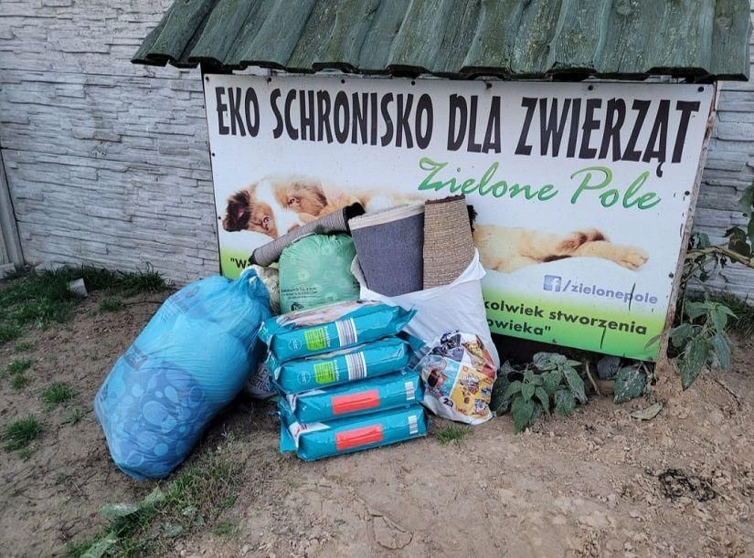 Opieka nad bezdomnymi zwierzętami