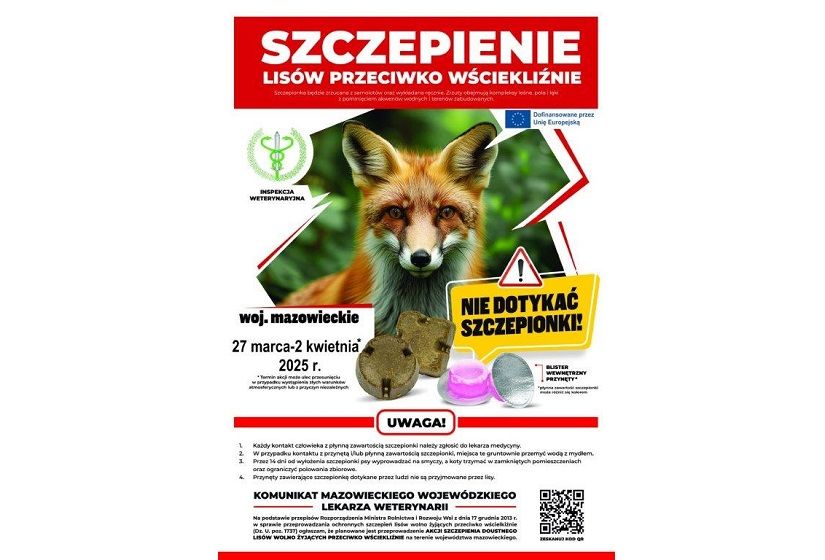 Informacja Kujawsko-Pomorskiego Wojewódzkiego Lekarza Weterynarii ws. wiosennej akcji szczepienia lisów na terenie woj. mazowieckiego