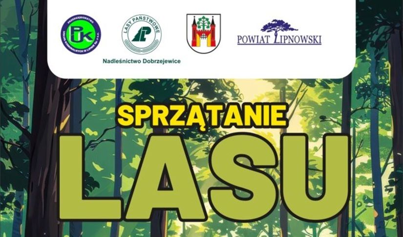 Sprzątanie lasu