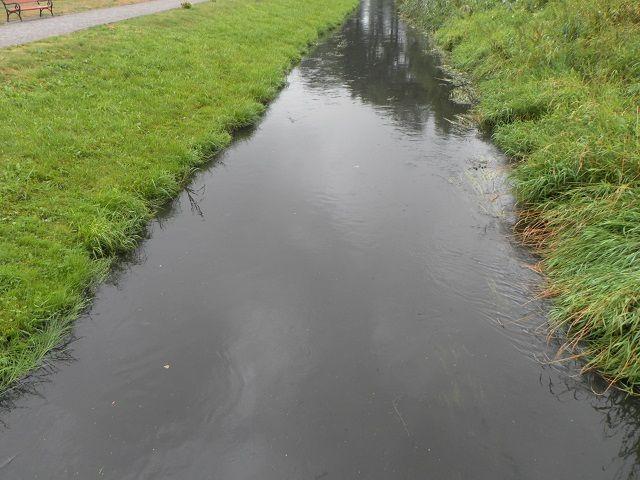 Mień się odmieni 