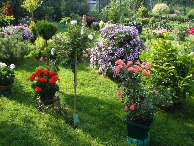 Zgłoś się do konkursu na najładniejszy ogródek i balkon