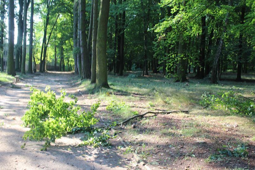 Zdj. nr. 12. Nawałnica w Lipnie