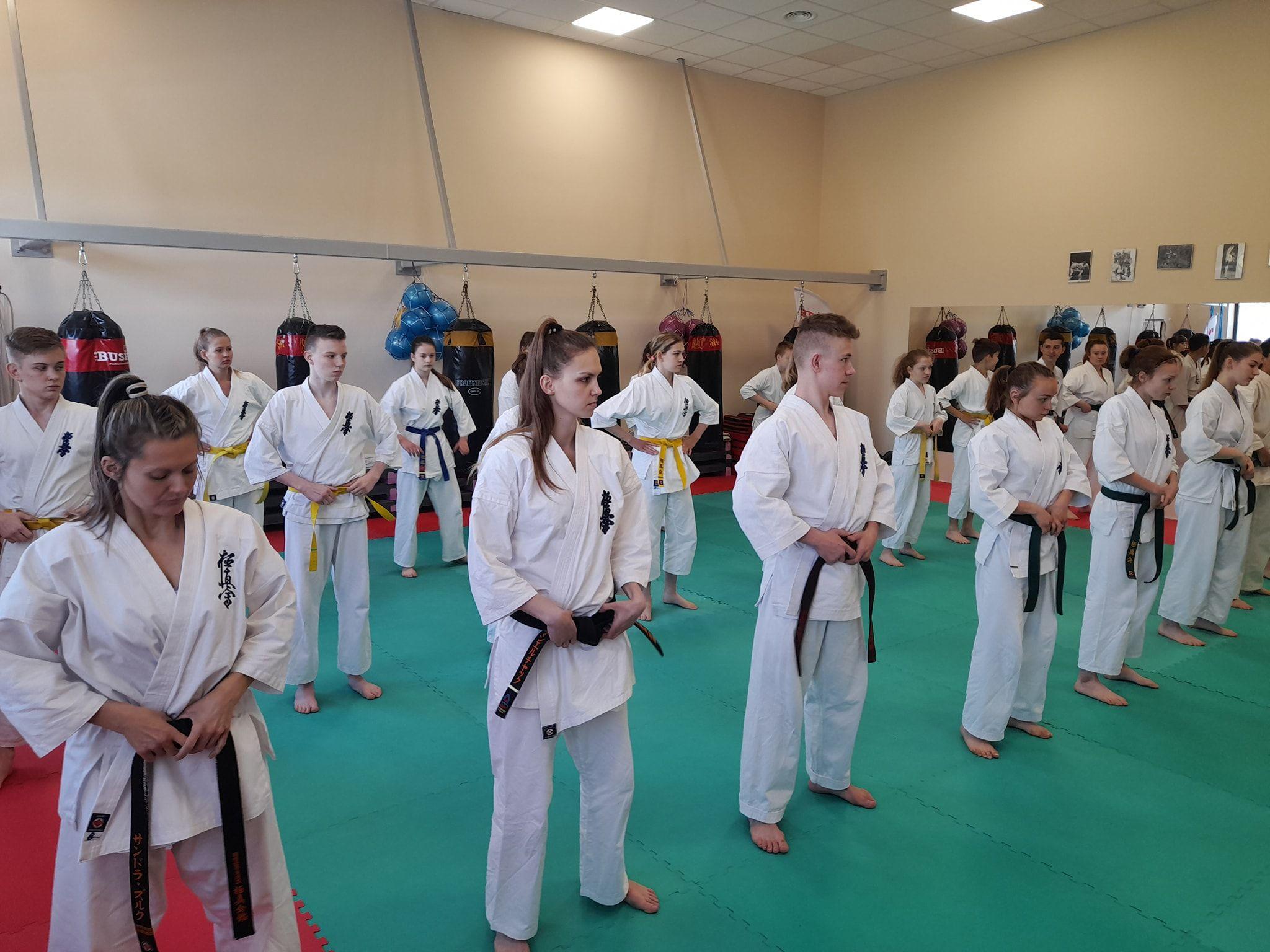 Seminarium szkoleniowe kumite Lipnowskiego Klubu Kyokushin Karate - kliknięcie spowoduje powiększenie obrazka