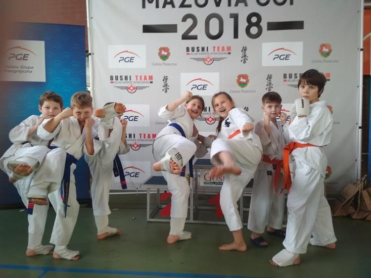 Wywalczyli medale na turnieju karate