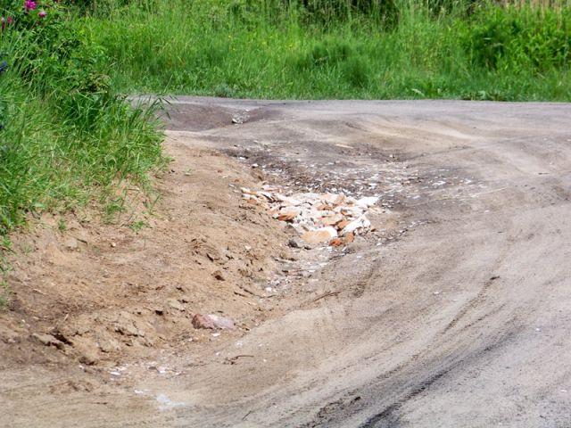 Zdj. nr. 11. Boczna
