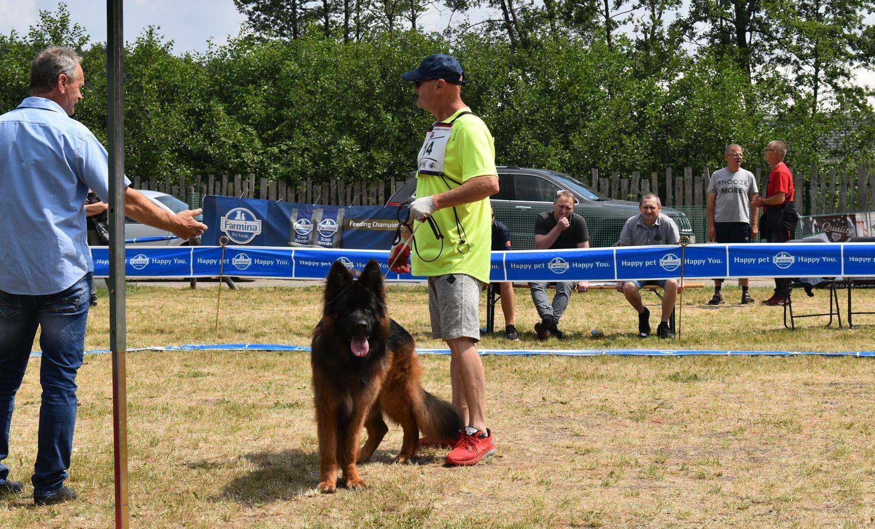 Zdj. nr. 1. IV Krajowa Wystawa Owczarków Niemieckich - 17 czerwca 2023 r.