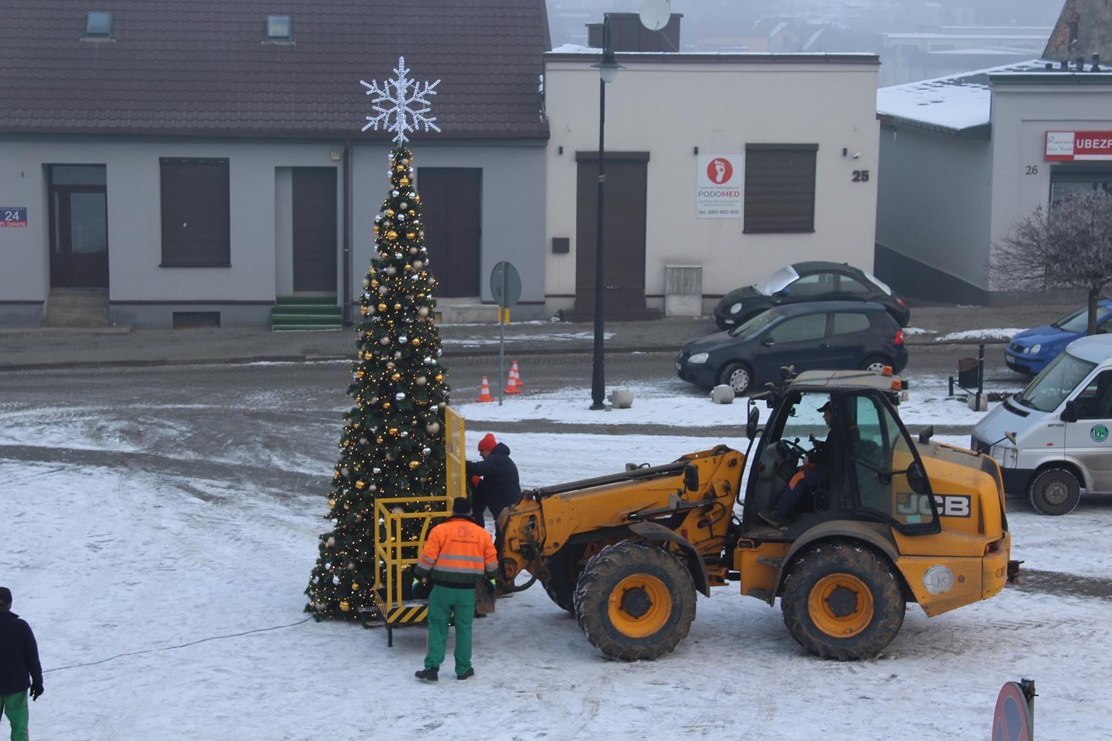 Zdj. nr. 1. Choinka na Placu Dekerta - 1 grudnia 2023 r.