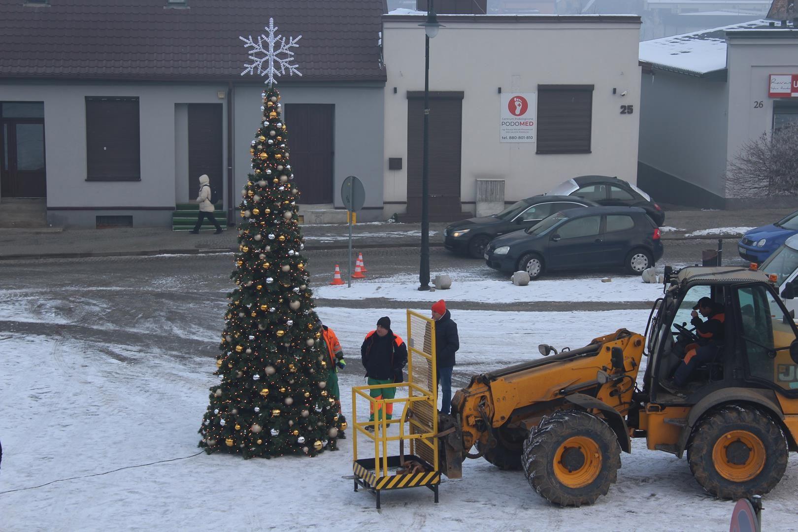 Zdj. nr. 2. Choinka na Placu Dekerta - 1 grudnia 2023 r.