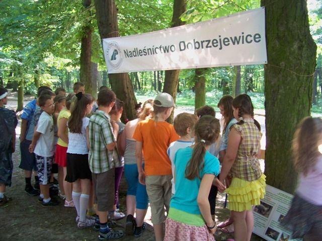 Zdj. nr. 1. Dzień Kasztanowca 2011