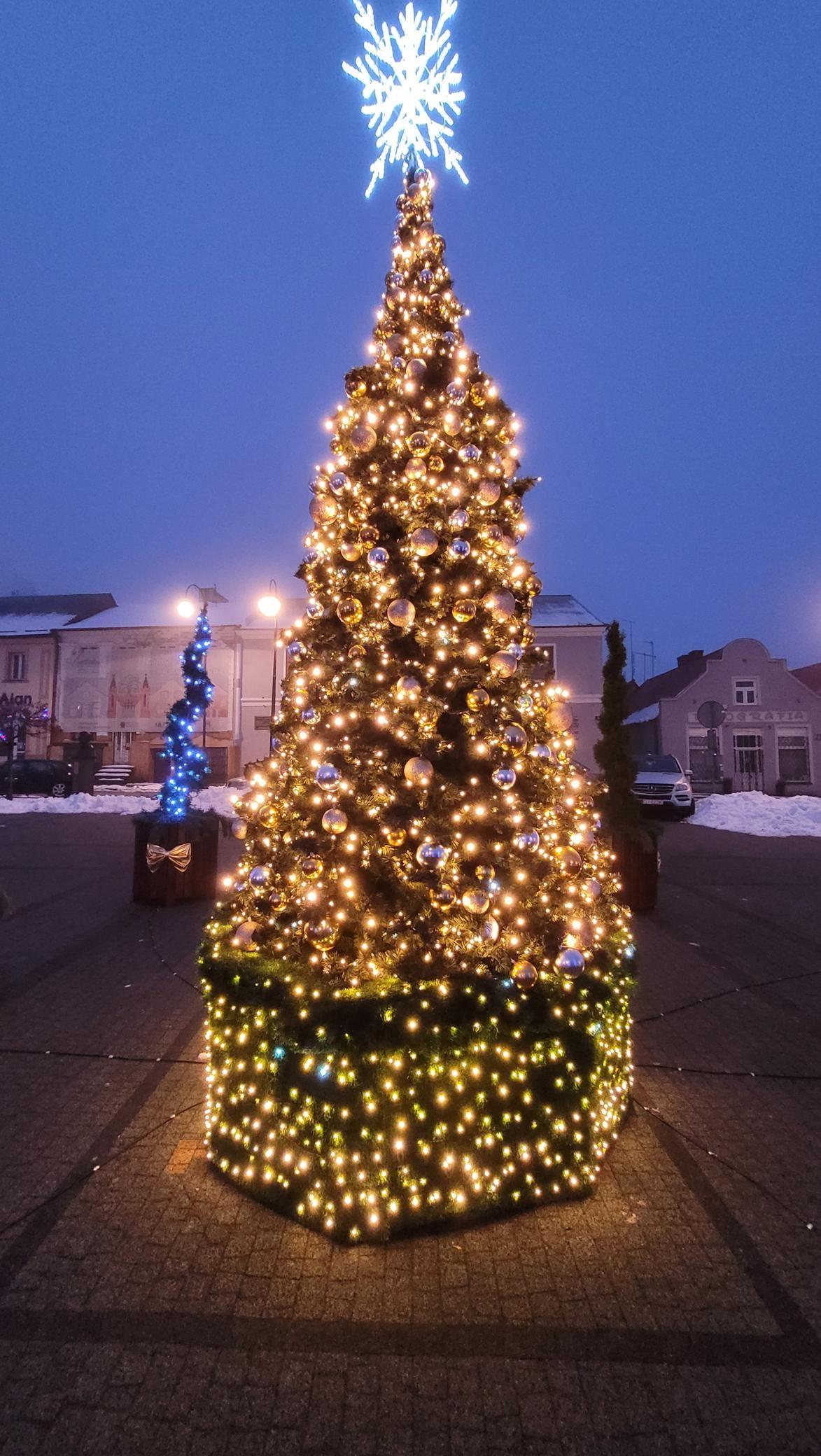 Zdj. nr. 1. Choinka na Placu Dekerta - 2 grudnia 2025 r.
