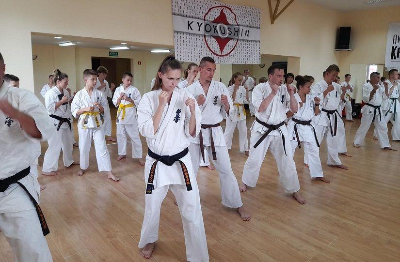 Seminarium szkoleniowe Karate Kyokushin
