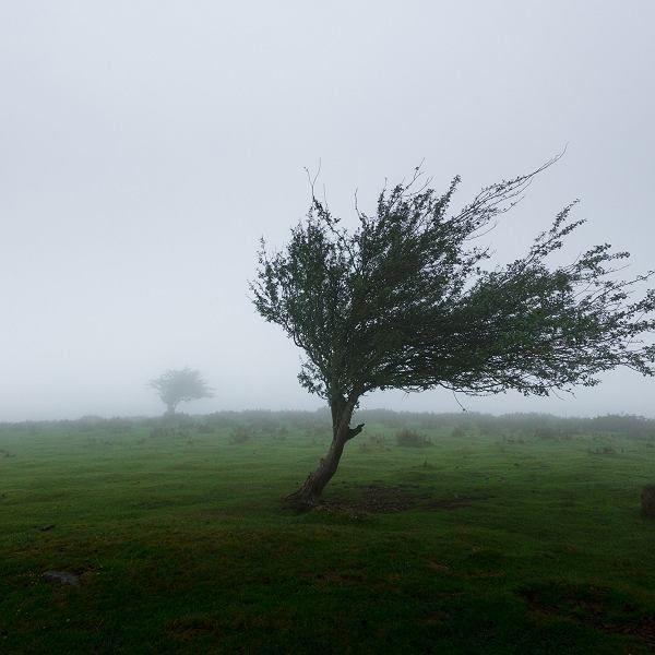 Ostrzeżenie meteorologiczne: silny wiatr