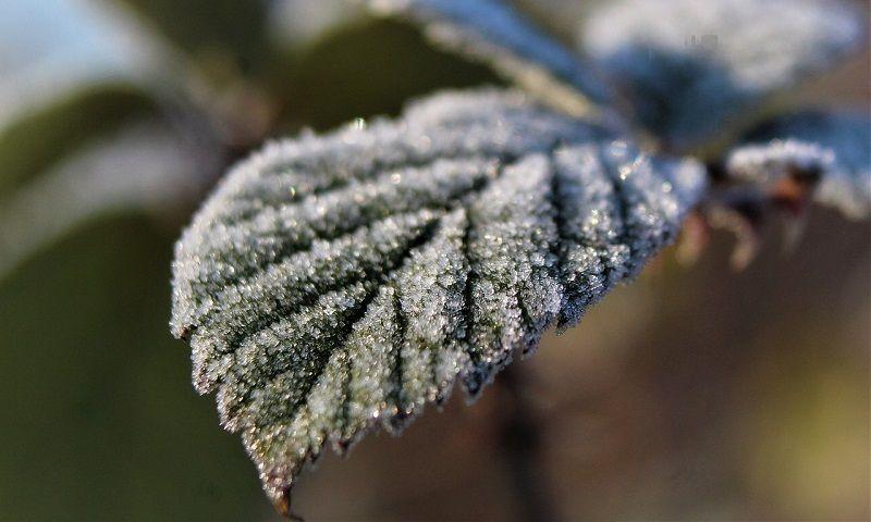 (Aktualizacja 26.04.2024 r.) Ostrzeżenia meteorologiczne: przymrozki