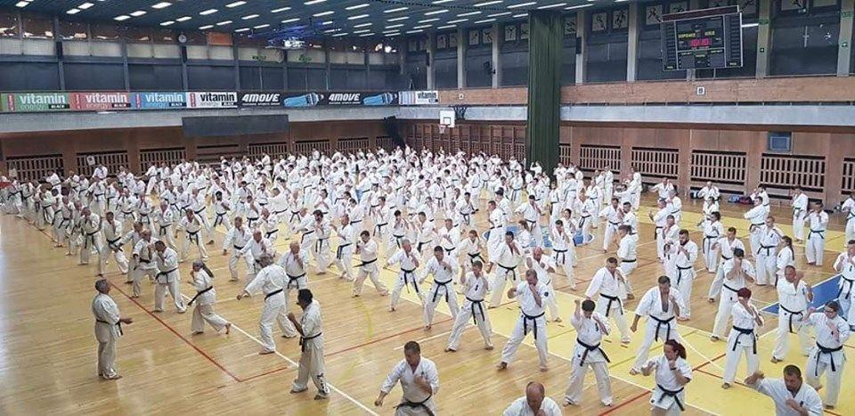 Zdj. nr. 4. Karatecy 2019