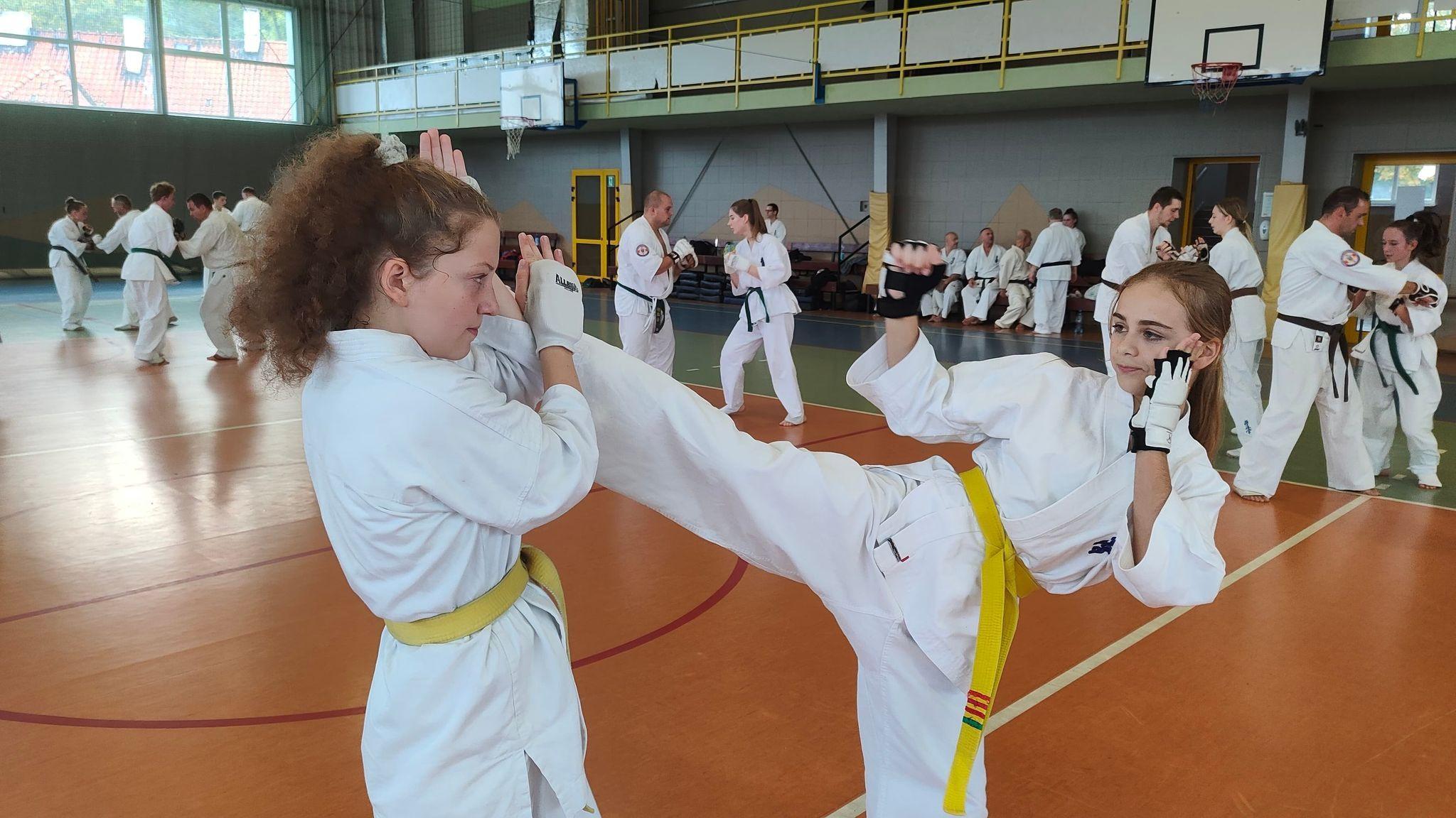 Zdj. nr. 1. Seminarium szkoleniowe Karate Kyokushin w Lipnie