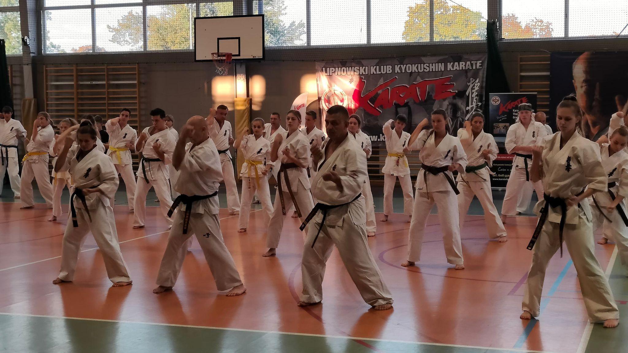 Zdj. nr. 2. Seminarium szkoleniowe Karate Kyokushin w Lipnie
