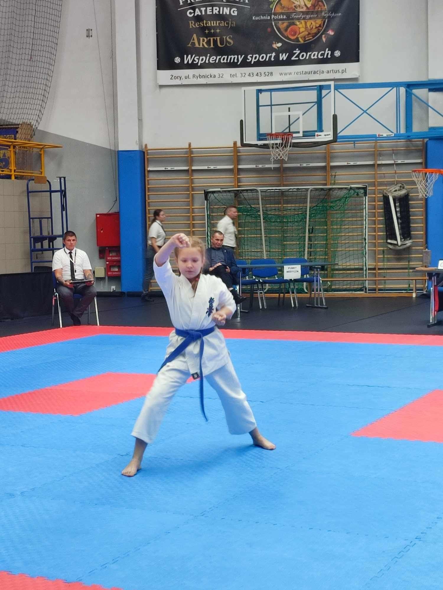 Zdj. nr. 3. Turniej Karate Kyokushin SARI CAP - 23 września 2023 r., Żory