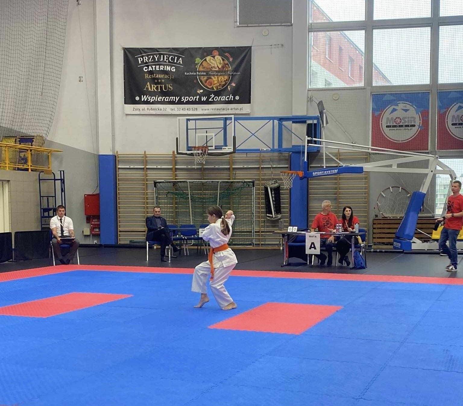 Zdj. nr. 4. Turniej Karate Kyokushin SARI CAP - 23 września 2023 r., Żory