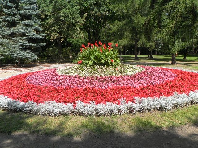Zdj. nr. 3. Park Miejski 2014