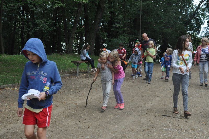 Zdj. nr. 36. Rozpoznajemy gatunki roślin