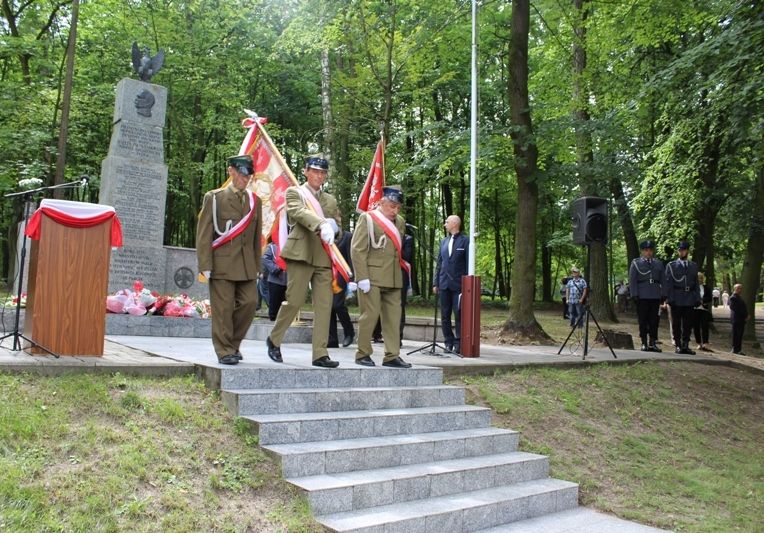 Zdj. nr. 47. Święto Wojska Polskiego 2016