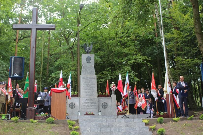 Zdj. nr. 43. Święto Wojska Polskiego 2018