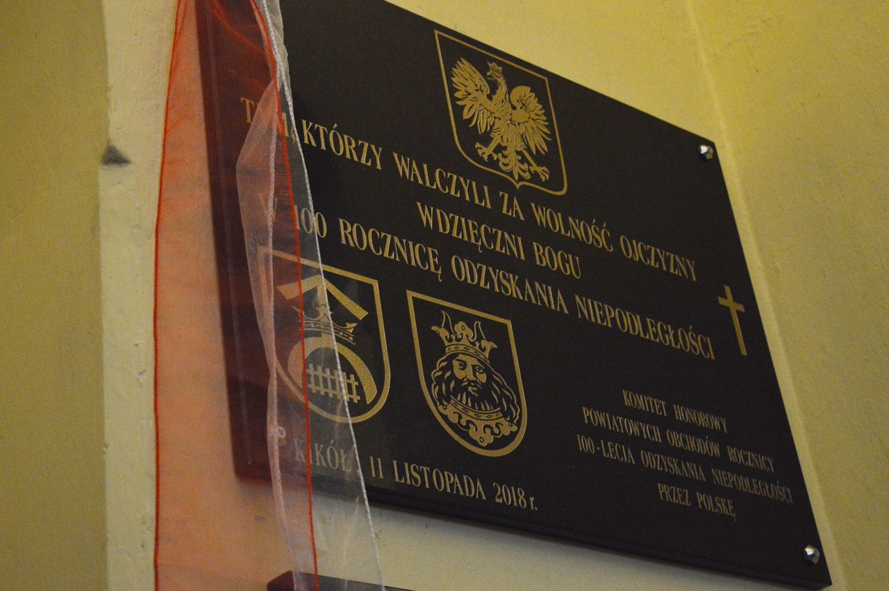 Powiatowe obchody 100. lecia odzyskania niepodległości. Foto: Damian Siedlecki